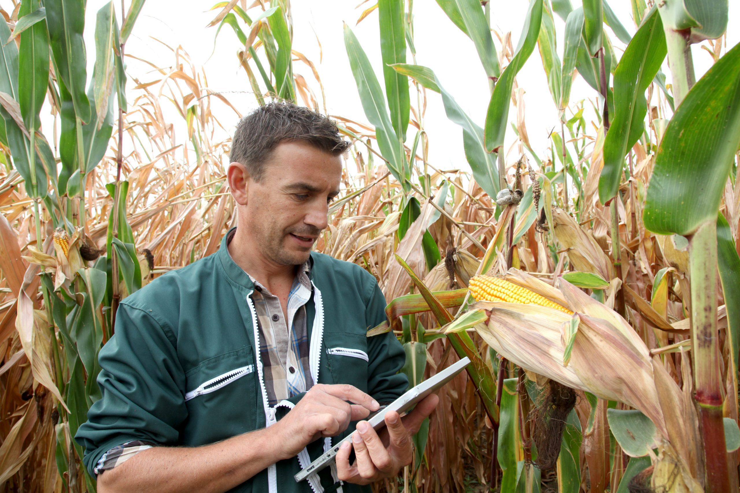 Peterson Solutions Sustainability consultancy