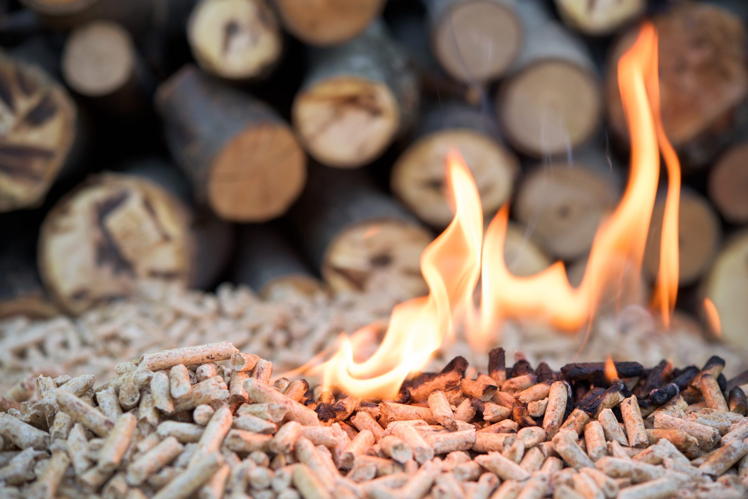 Why temperature monitoring is critical in biomass logistics