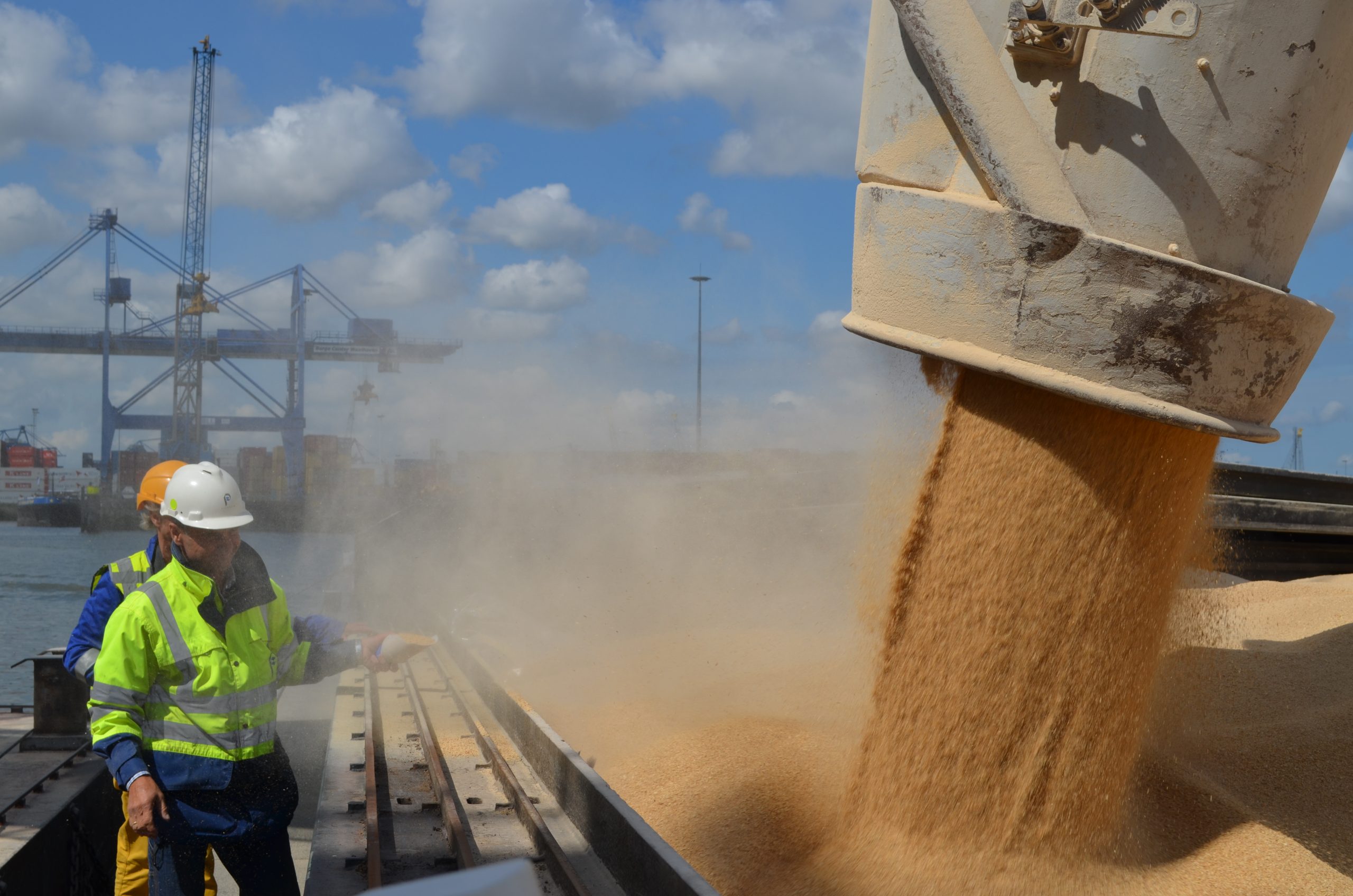 Peterson Supply Chain Partner – feed