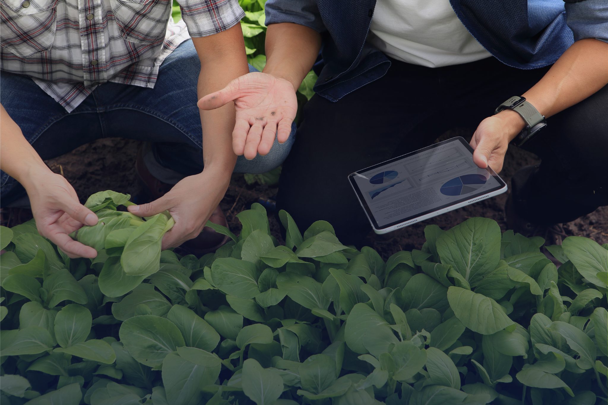 Digitale oplossingen & duurzaamheidsadvies