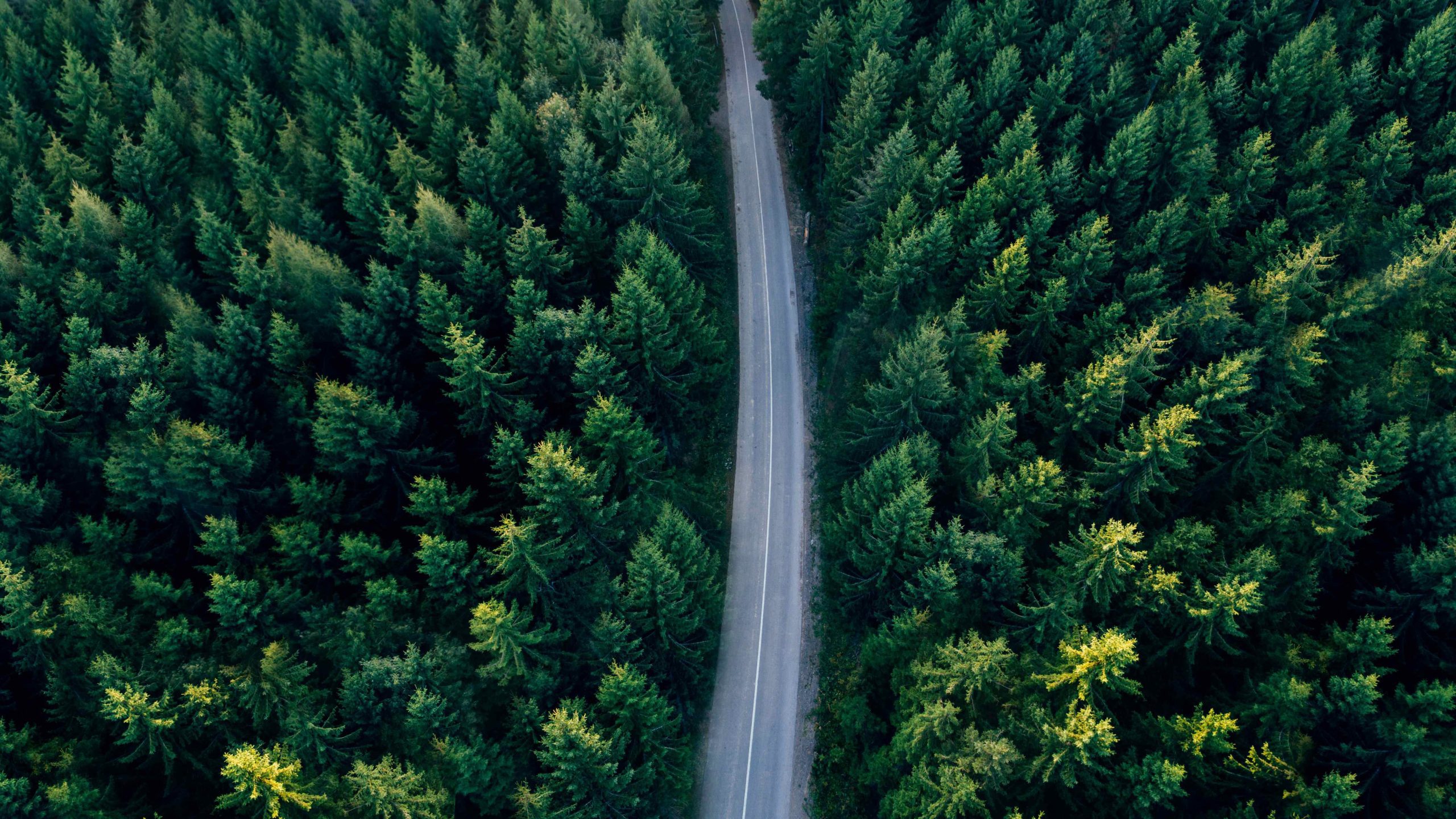 Peterson Sustainability report