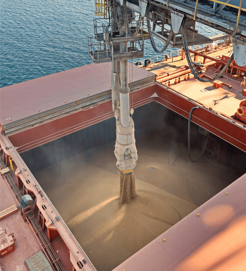 Control Union – laadruim inspecties